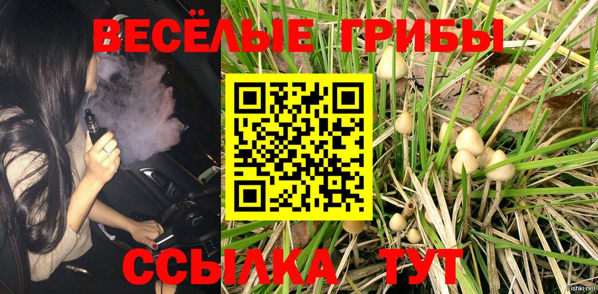 Махачкала  Галлюциногенные грибы Psilocybe  Вход с VPN 