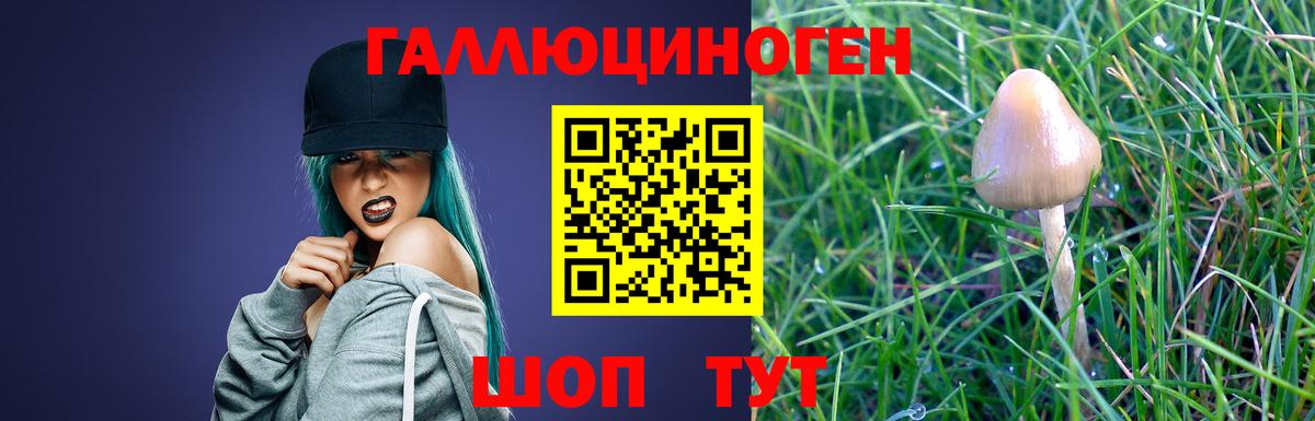 Галлюциногенные грибы мухоморы Махачкала