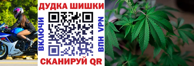 Бошки марихуана THC 21%  Махачкала 