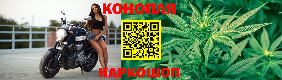 Шишки марихуана марихуана Махачкала